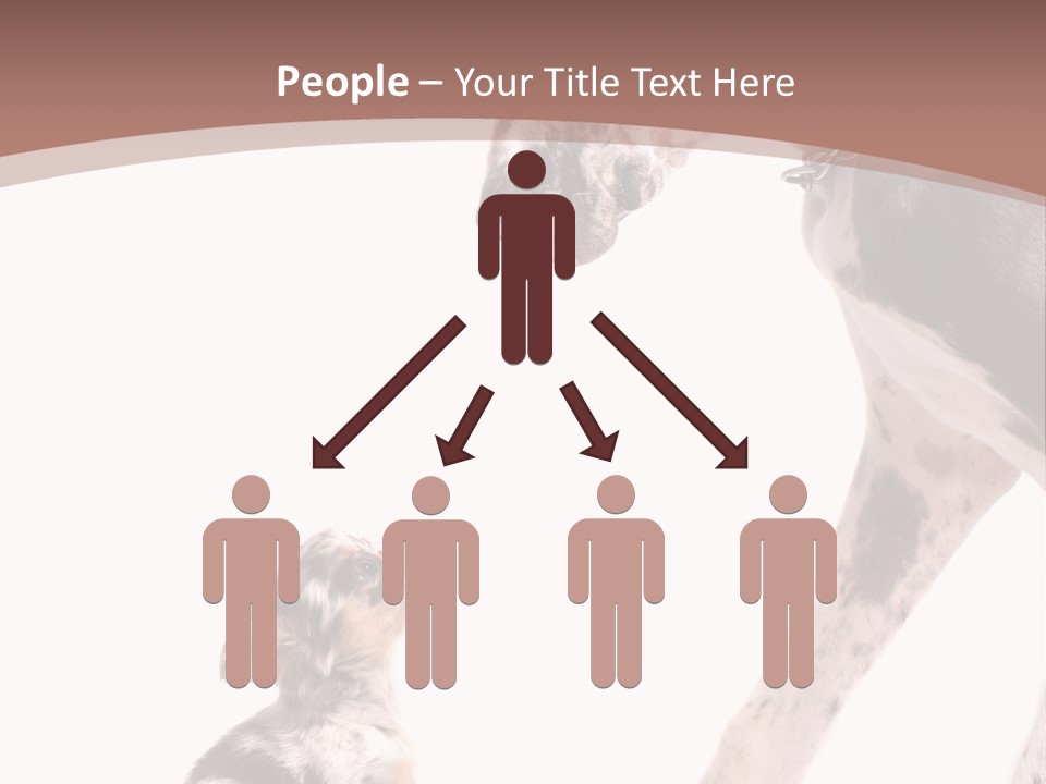 A Dog And A Puppy Are Looking At Each Other PowerPoint Template