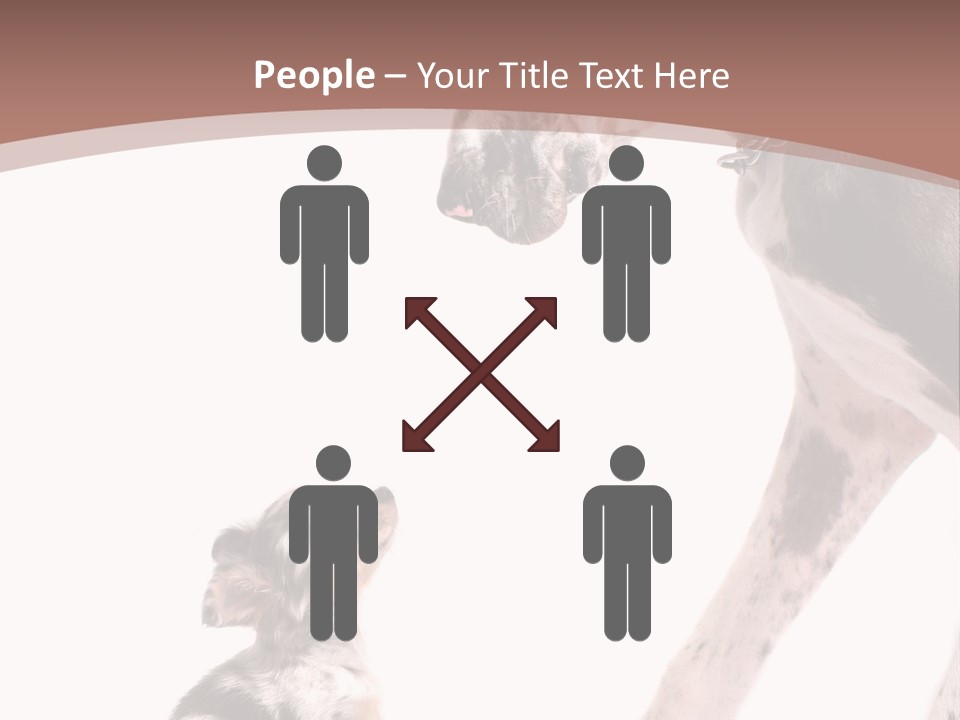 A Dog And A Puppy Are Looking At Each Other PowerPoint Template