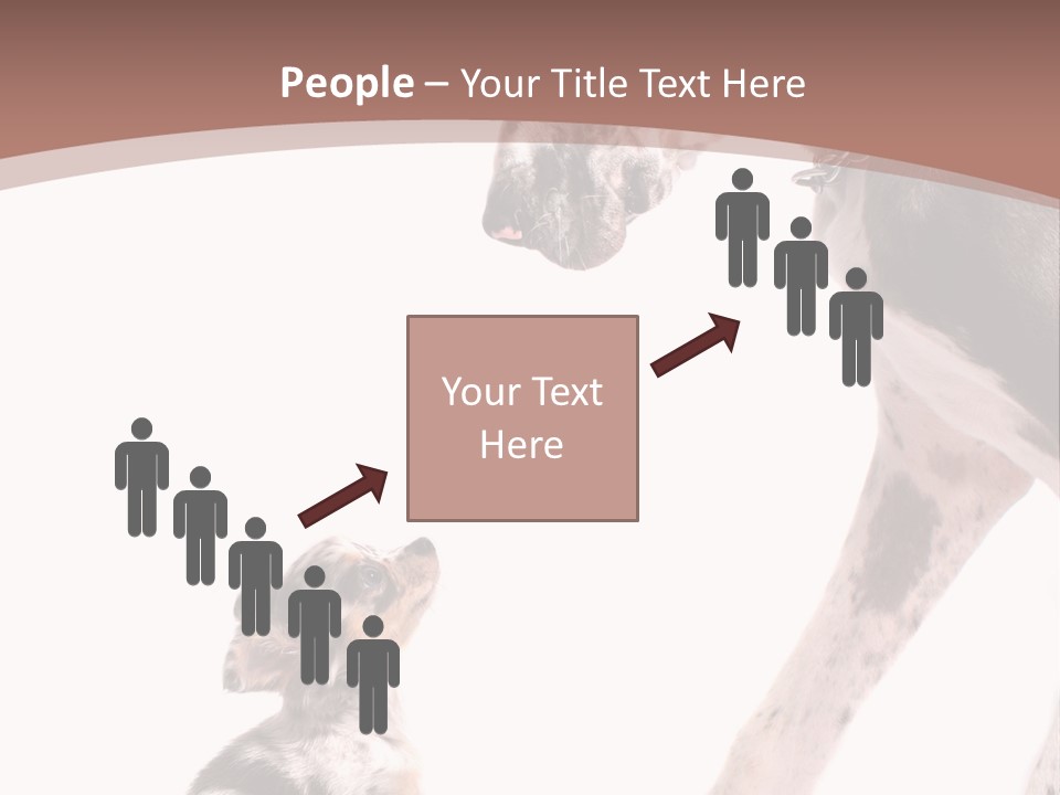 A Dog And A Puppy Are Looking At Each Other PowerPoint Template