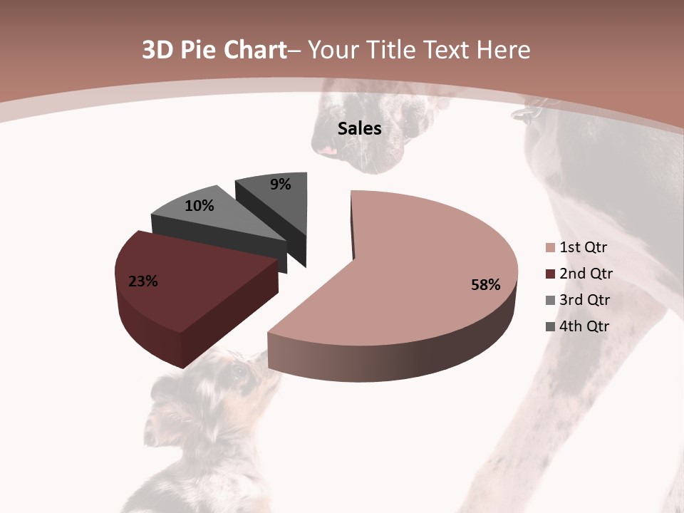 A Dog And A Puppy Are Looking At Each Other PowerPoint Template