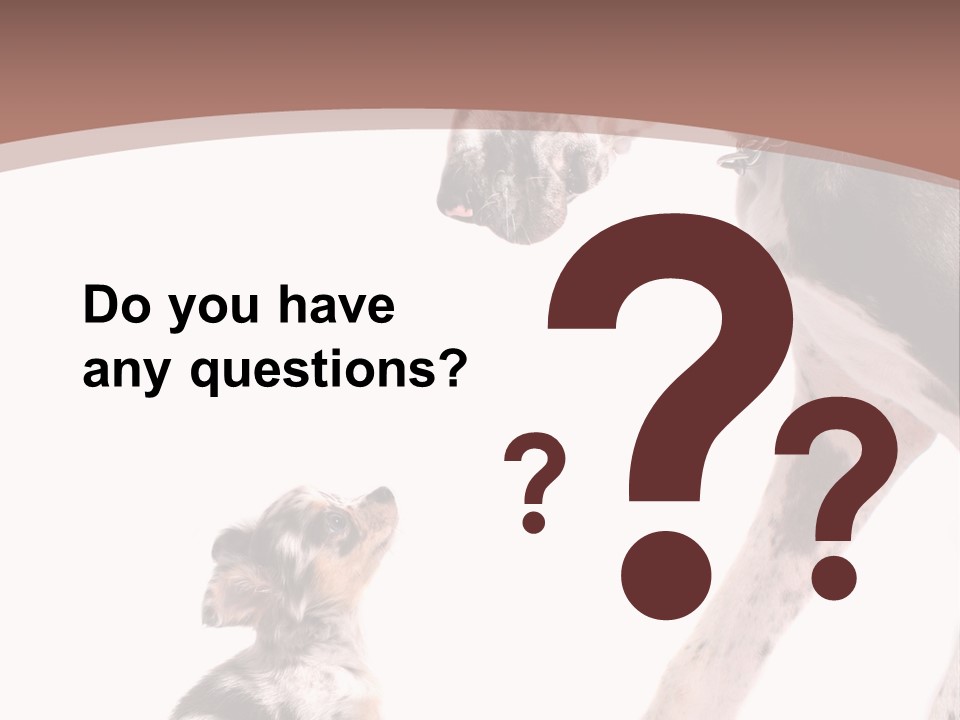 A Dog And A Puppy Are Looking At Each Other PowerPoint Template