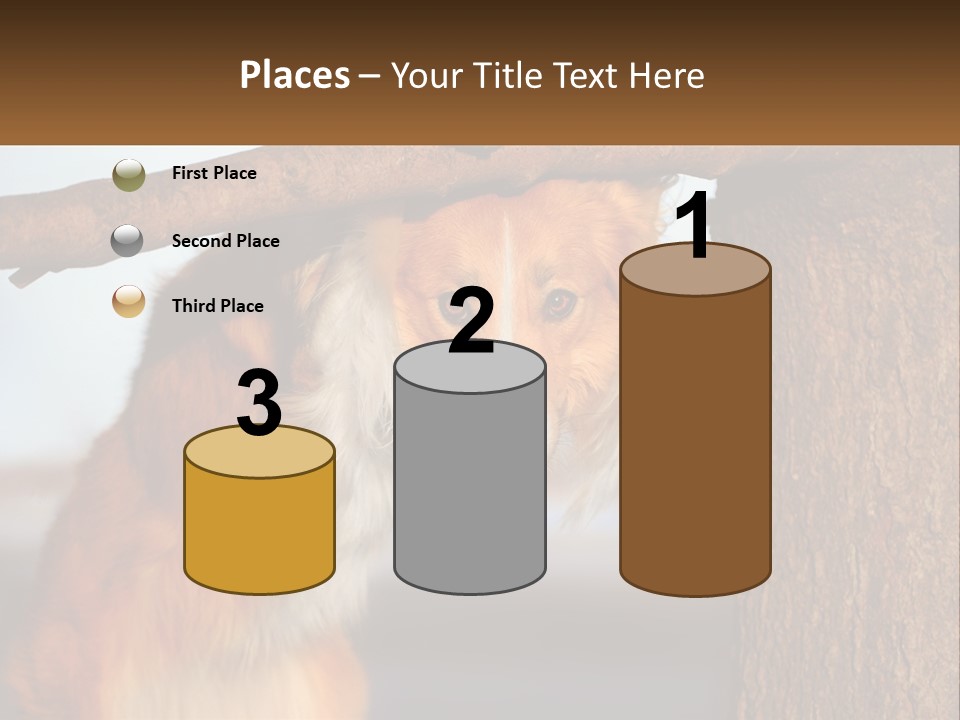 A Brown And White Dog With His Tongue Hanging Out Of A Tree PowerPoint Template