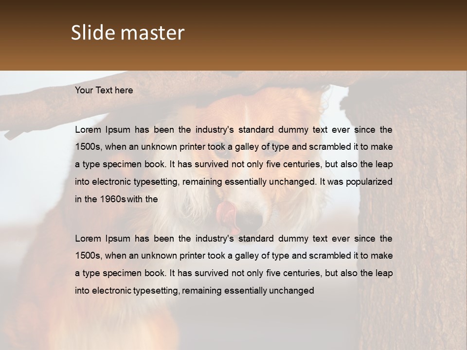 A Brown And White Dog With His Tongue Hanging Out Of A Tree PowerPoint Template