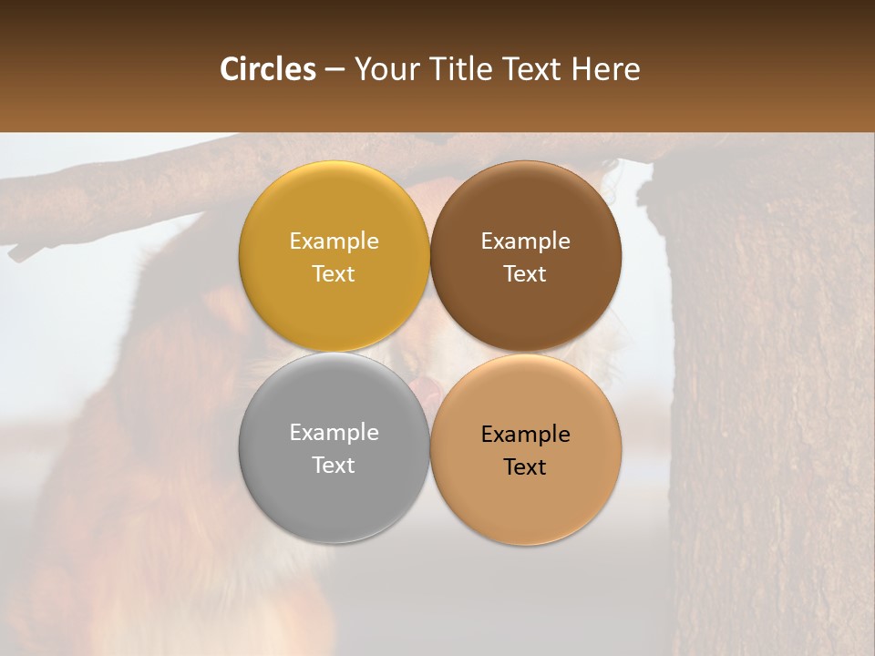 A Brown And White Dog With His Tongue Hanging Out Of A Tree PowerPoint Template