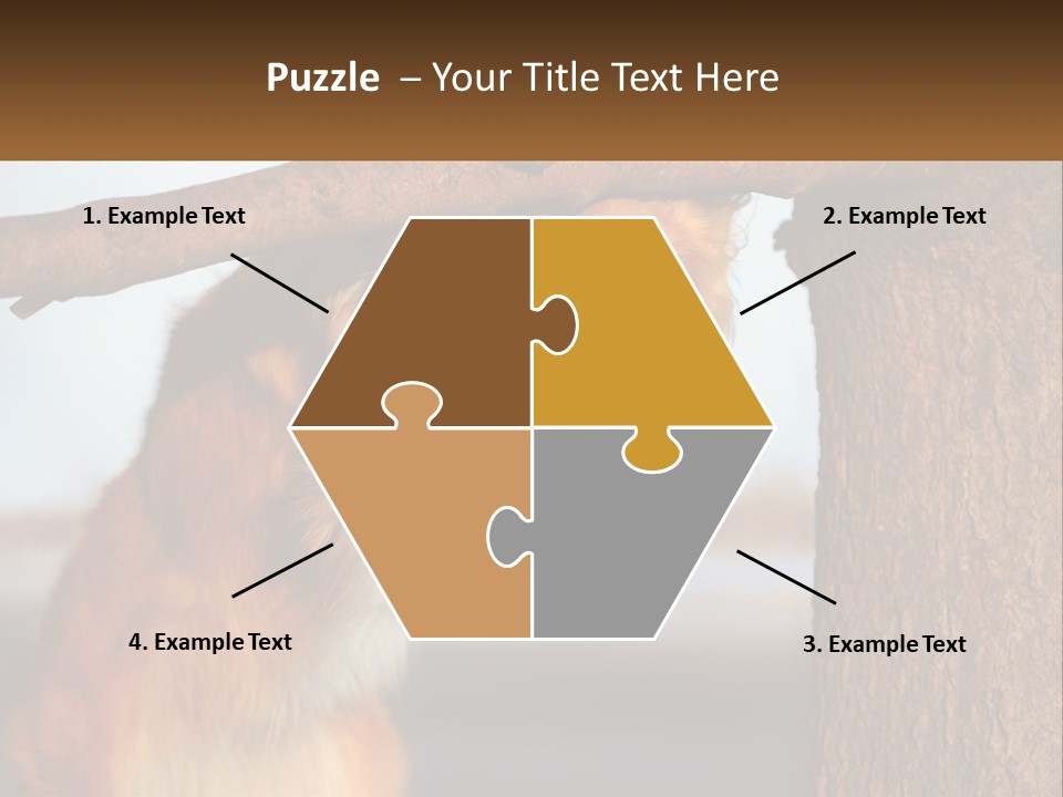 A Brown And White Dog With His Tongue Hanging Out Of A Tree PowerPoint Template