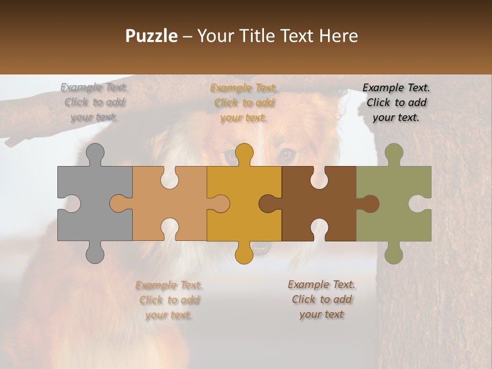 A Brown And White Dog With His Tongue Hanging Out Of A Tree PowerPoint Template