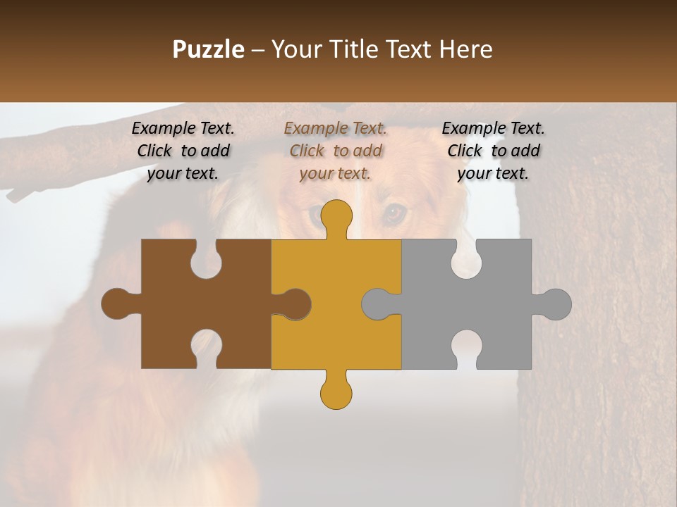 A Brown And White Dog With His Tongue Hanging Out Of A Tree PowerPoint Template