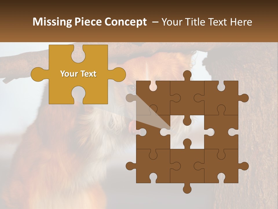 A Brown And White Dog With His Tongue Hanging Out Of A Tree PowerPoint Template