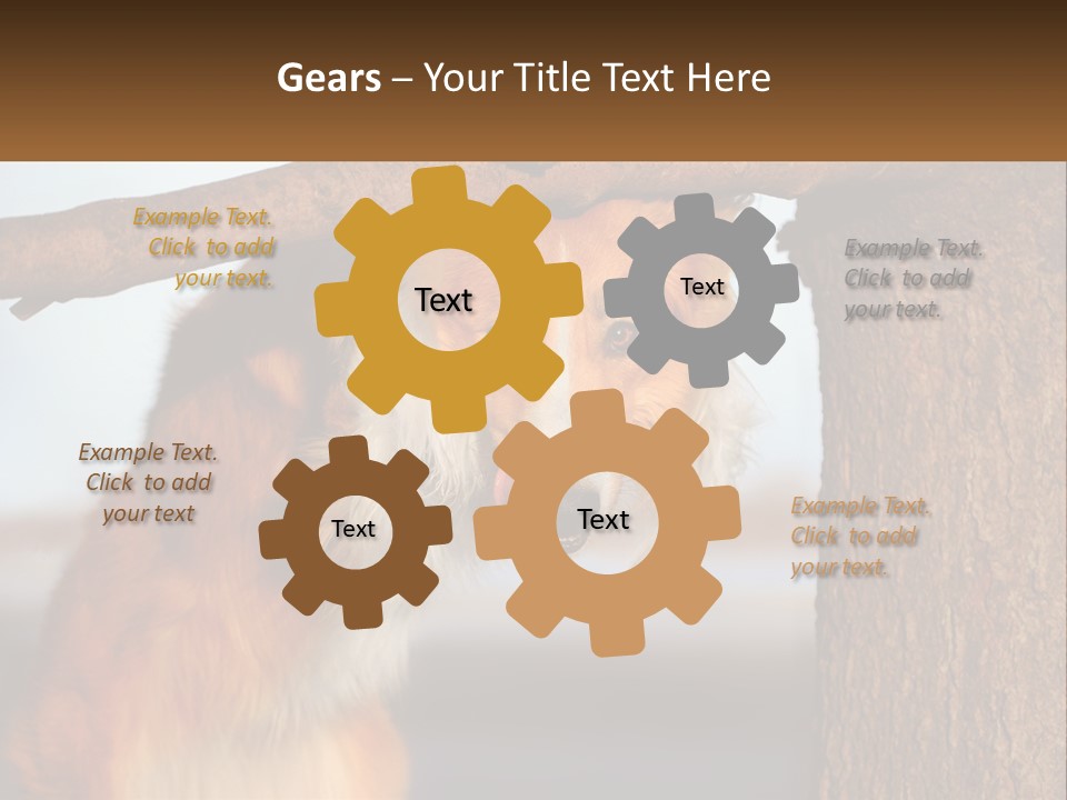 A Brown And White Dog With His Tongue Hanging Out Of A Tree PowerPoint Template