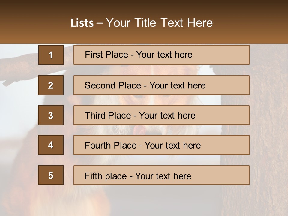 A Brown And White Dog With His Tongue Hanging Out Of A Tree PowerPoint Template