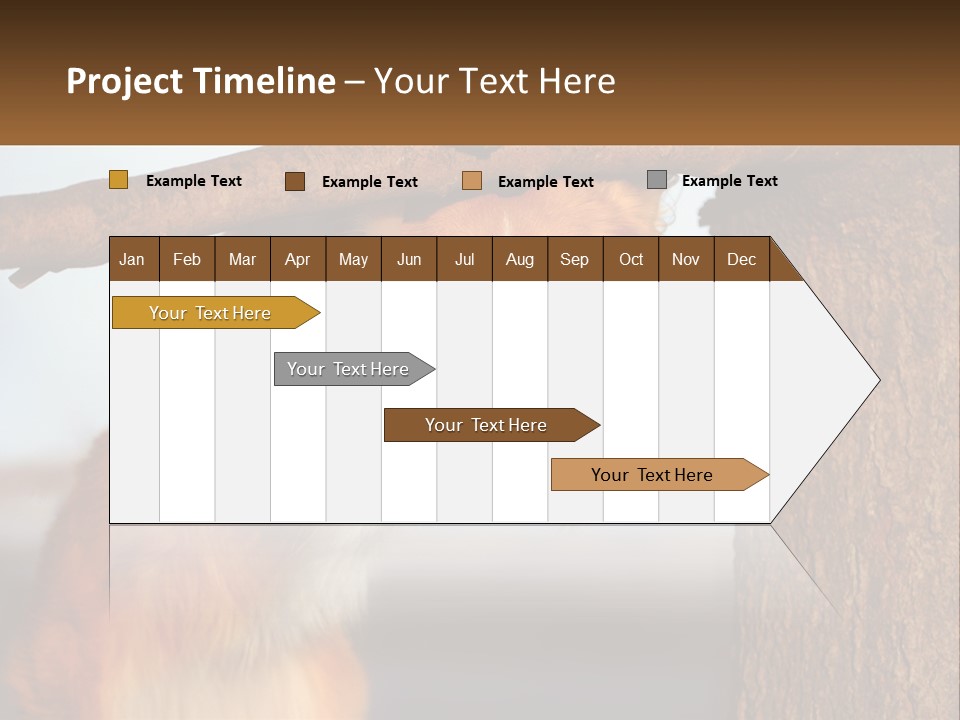 A Brown And White Dog With His Tongue Hanging Out Of A Tree PowerPoint Template