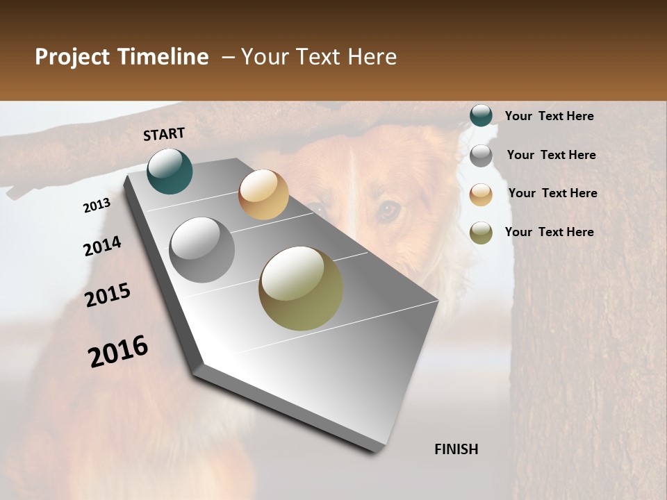 A Brown And White Dog With His Tongue Hanging Out Of A Tree PowerPoint Template