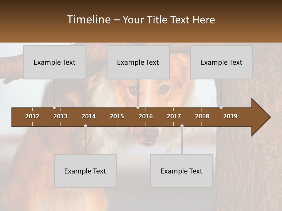A Brown And White Dog With His Tongue Hanging Out Of A Tree PowerPoint Template