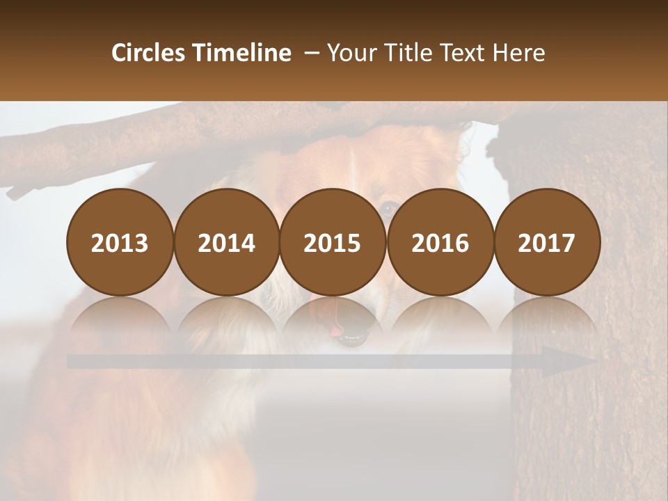 A Brown And White Dog With His Tongue Hanging Out Of A Tree PowerPoint Template