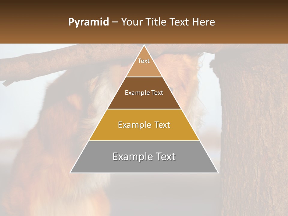 A Brown And White Dog With His Tongue Hanging Out Of A Tree PowerPoint Template