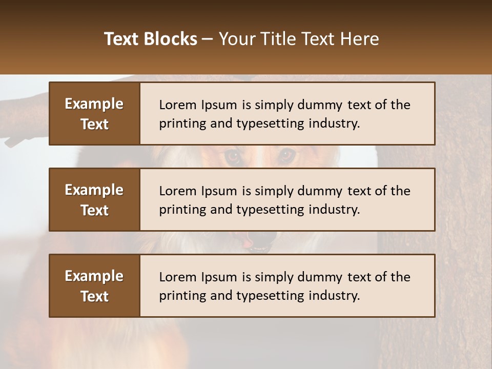A Brown And White Dog With His Tongue Hanging Out Of A Tree PowerPoint Template
