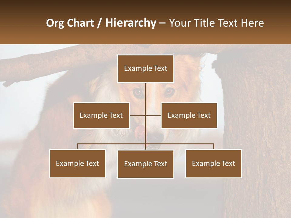 A Brown And White Dog With His Tongue Hanging Out Of A Tree PowerPoint Template