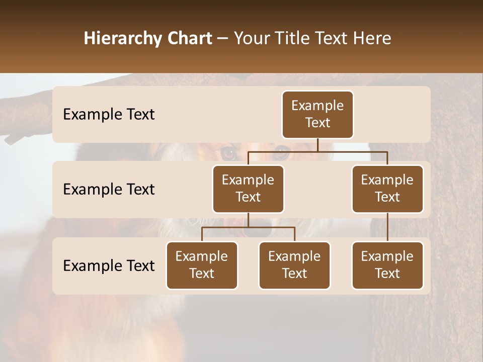 A Brown And White Dog With His Tongue Hanging Out Of A Tree PowerPoint Template
