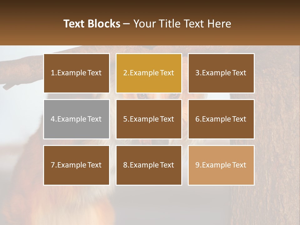 A Brown And White Dog With His Tongue Hanging Out Of A Tree PowerPoint Template