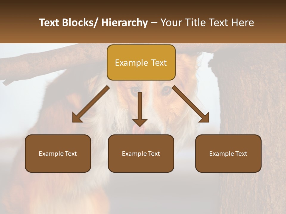 A Brown And White Dog With His Tongue Hanging Out Of A Tree PowerPoint Template