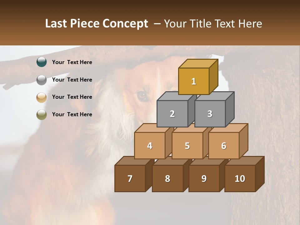 A Brown And White Dog With His Tongue Hanging Out Of A Tree PowerPoint Template
