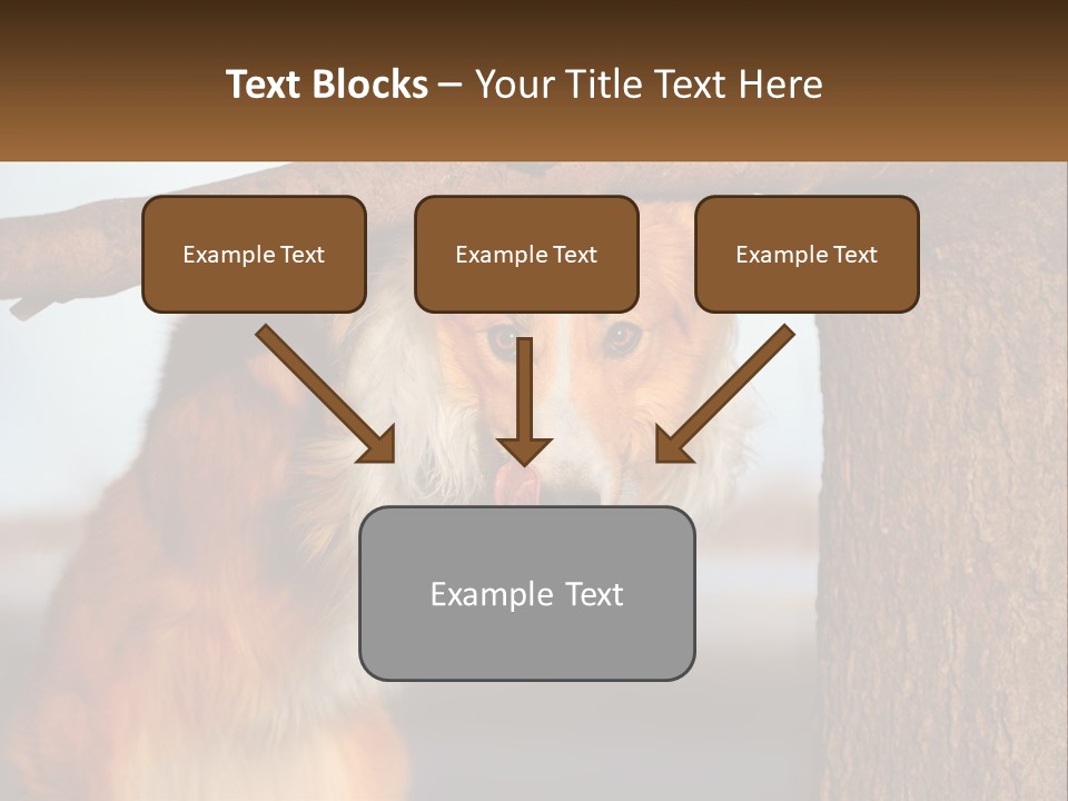 A Brown And White Dog With His Tongue Hanging Out Of A Tree PowerPoint Template