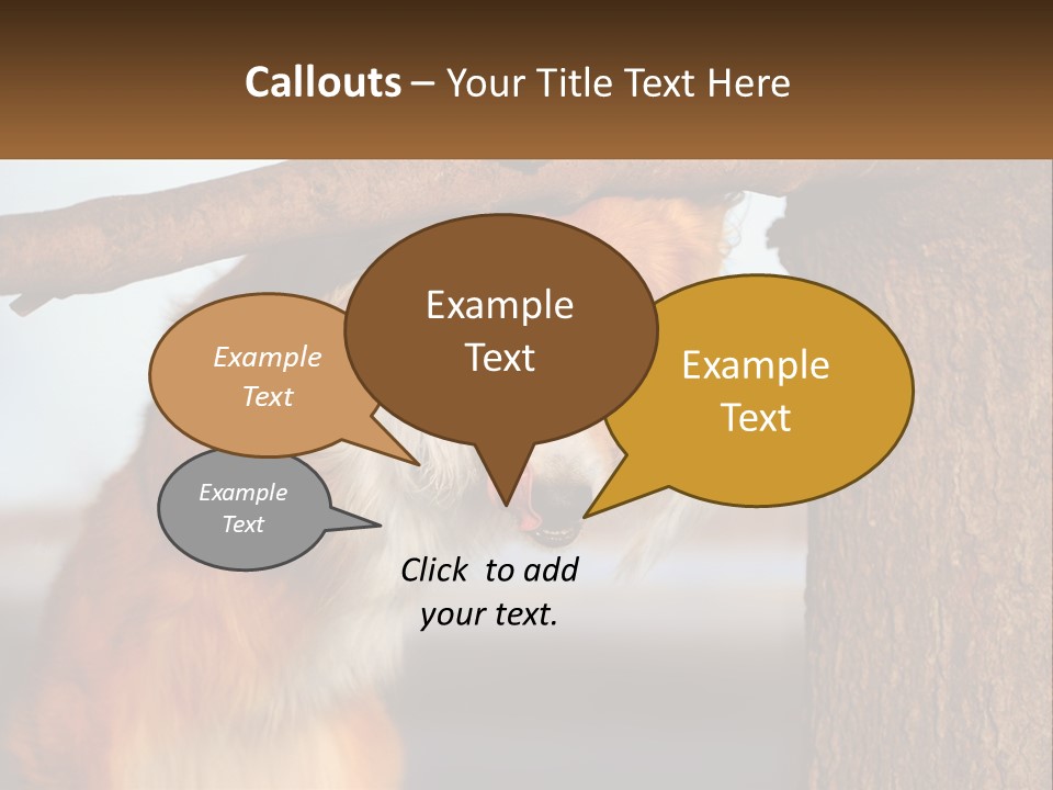 A Brown And White Dog With His Tongue Hanging Out Of A Tree PowerPoint Template