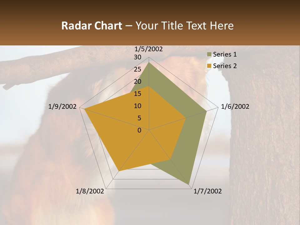 A Brown And White Dog With His Tongue Hanging Out Of A Tree PowerPoint Template