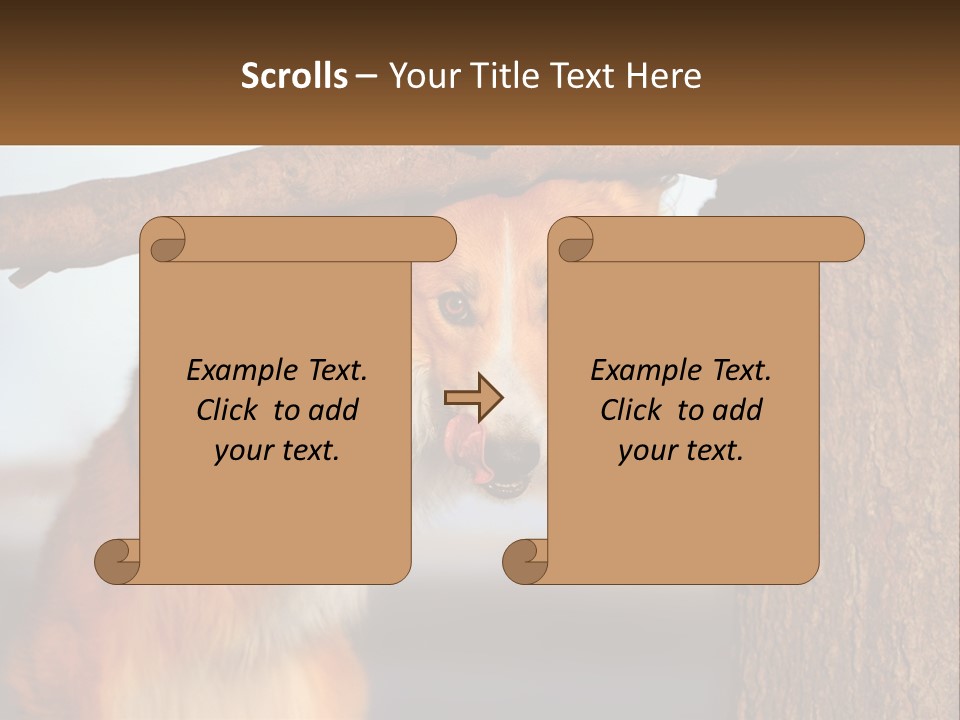 A Brown And White Dog With His Tongue Hanging Out Of A Tree PowerPoint Template