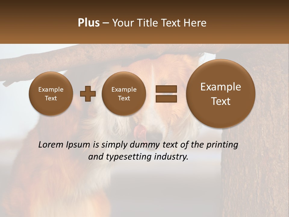 A Brown And White Dog With His Tongue Hanging Out Of A Tree PowerPoint Template