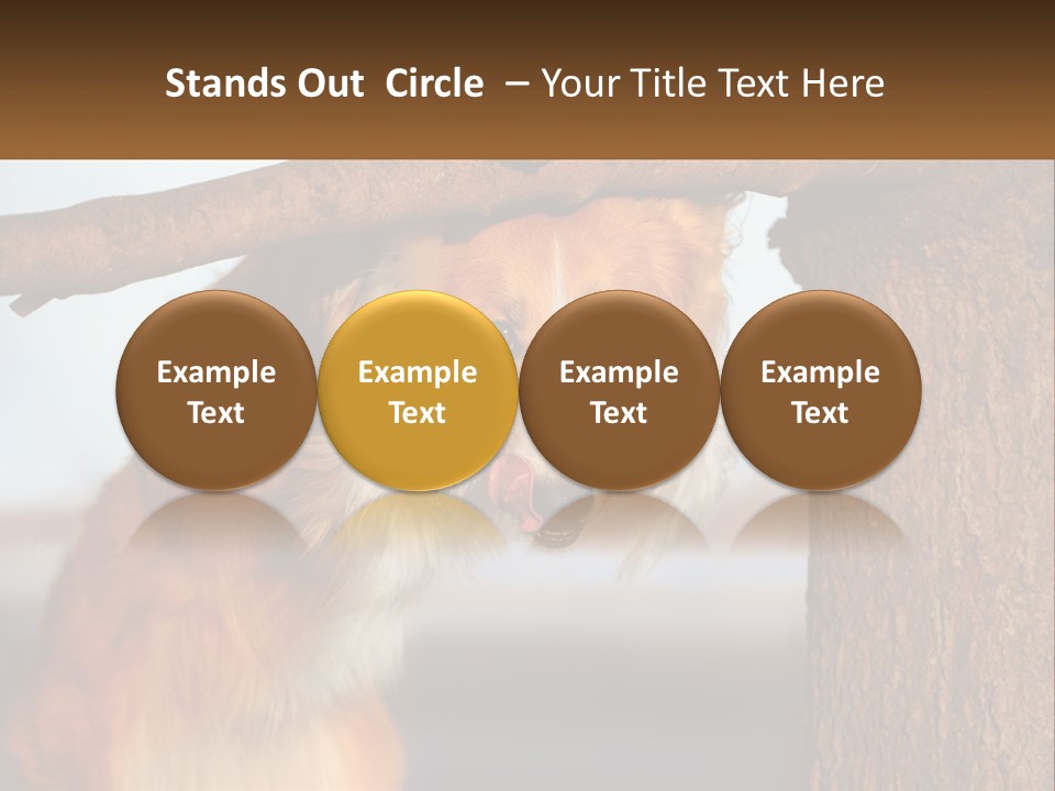 A Brown And White Dog With His Tongue Hanging Out Of A Tree PowerPoint Template