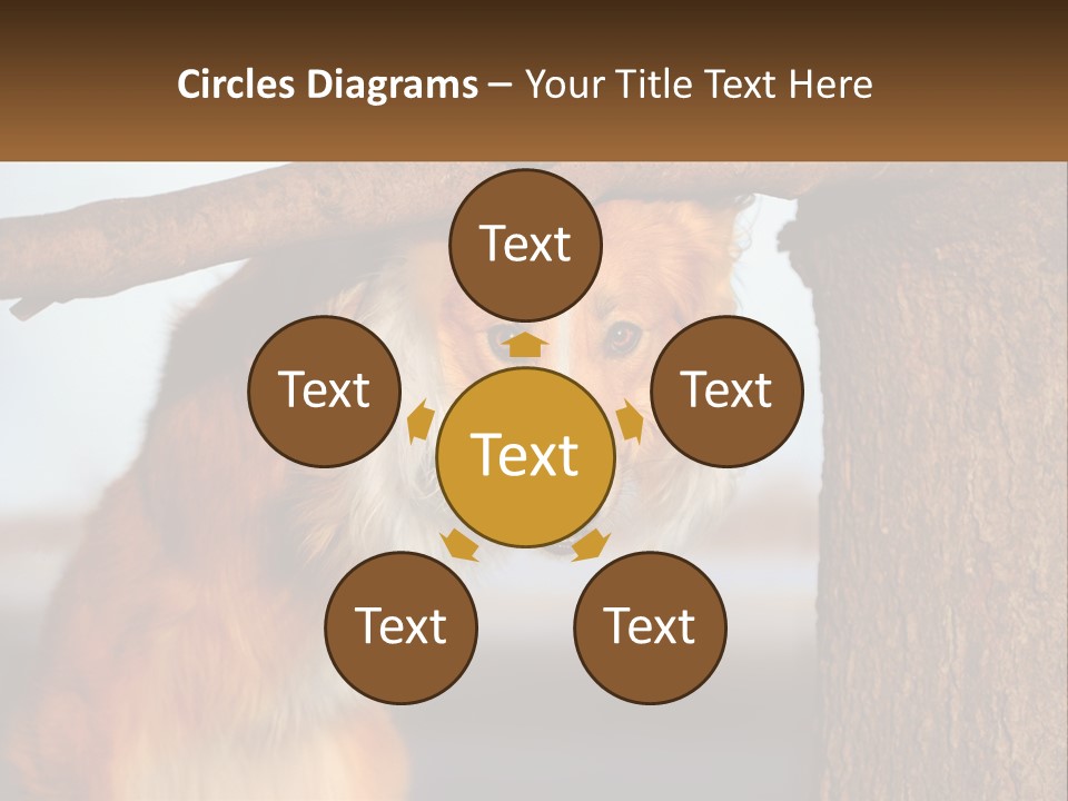 A Brown And White Dog With His Tongue Hanging Out Of A Tree PowerPoint Template