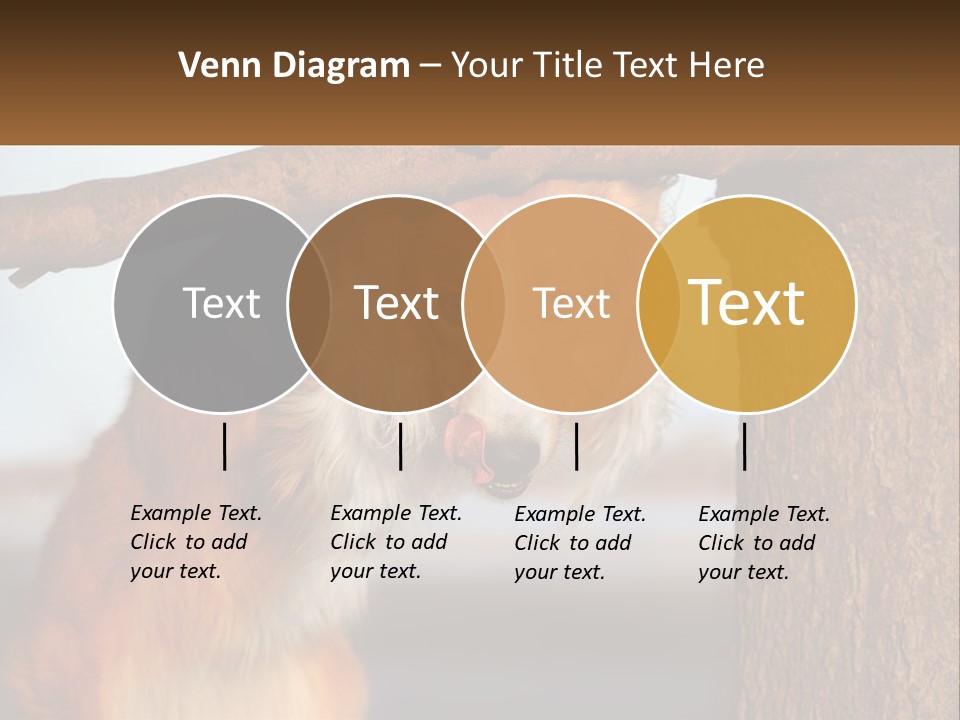 A Brown And White Dog With His Tongue Hanging Out Of A Tree PowerPoint Template