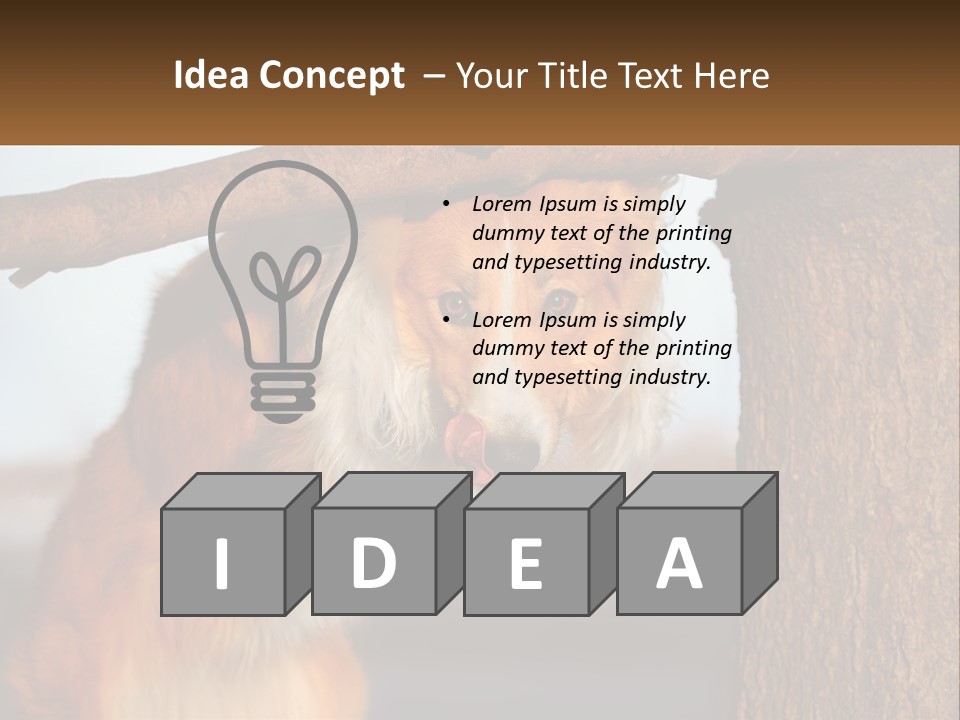 A Brown And White Dog With His Tongue Hanging Out Of A Tree PowerPoint Template