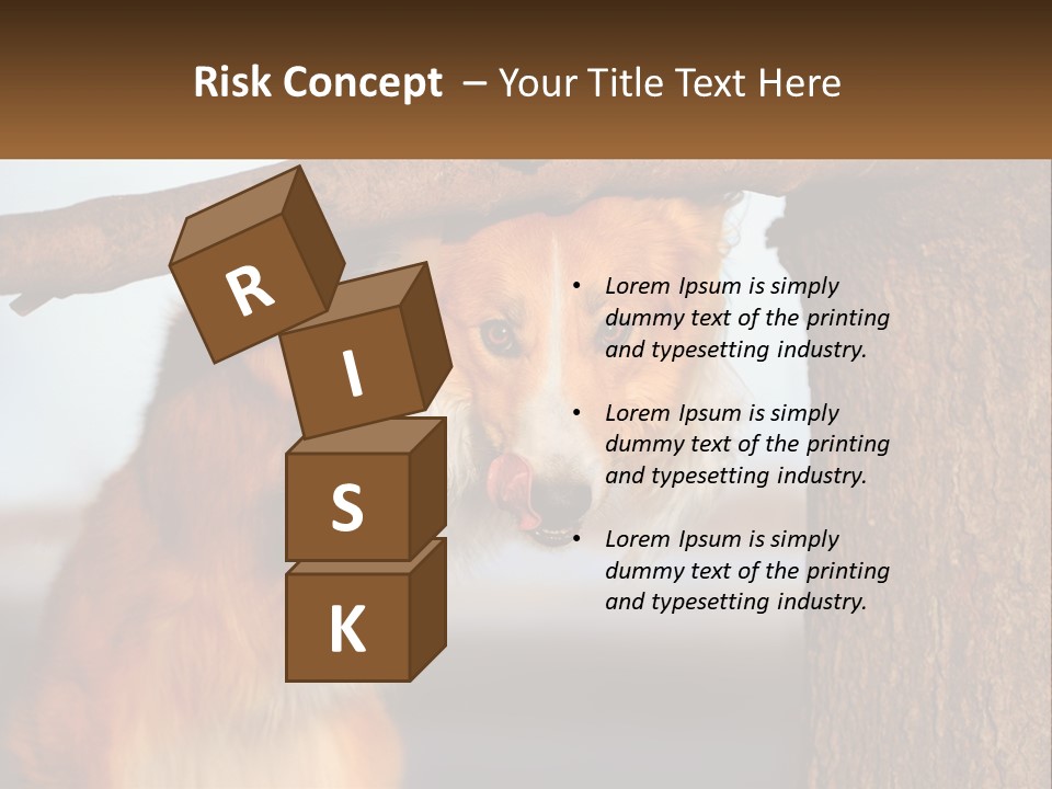 A Brown And White Dog With His Tongue Hanging Out Of A Tree PowerPoint Template