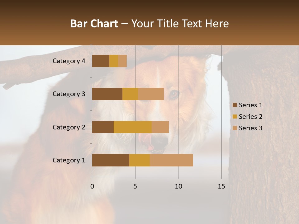A Brown And White Dog With His Tongue Hanging Out Of A Tree PowerPoint Template