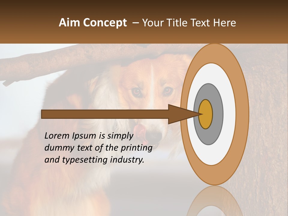 A Brown And White Dog With His Tongue Hanging Out Of A Tree PowerPoint Template