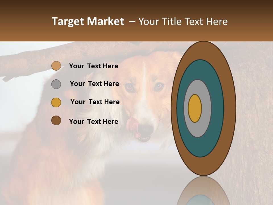 A Brown And White Dog With His Tongue Hanging Out Of A Tree PowerPoint Template