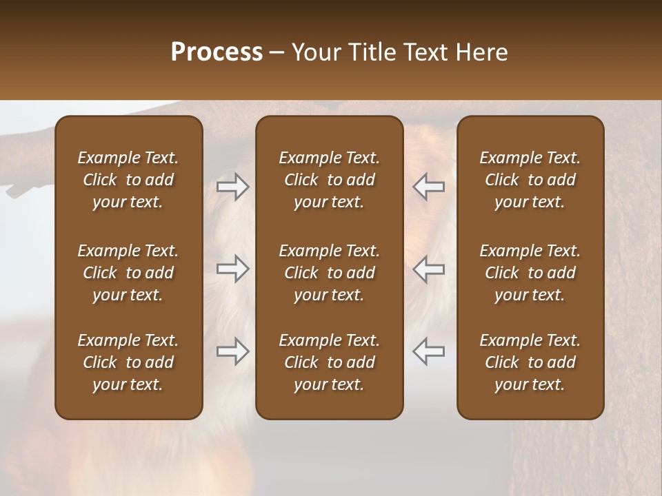 A Brown And White Dog With His Tongue Hanging Out Of A Tree PowerPoint Template
