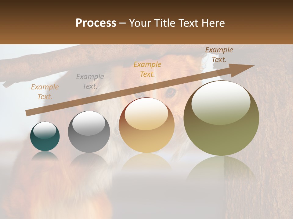 A Brown And White Dog With His Tongue Hanging Out Of A Tree PowerPoint Template