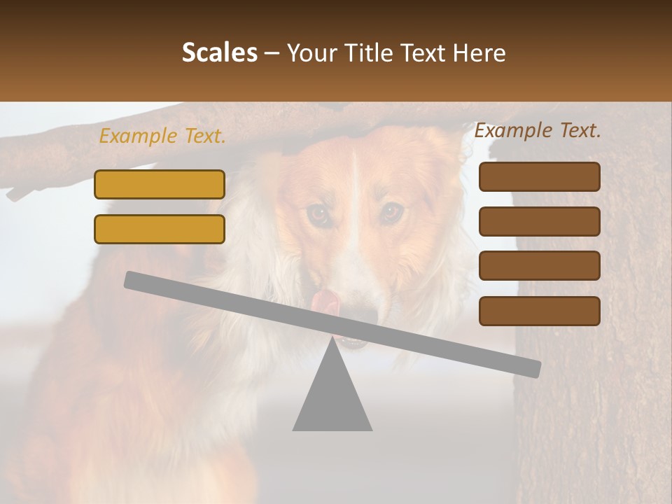 A Brown And White Dog With His Tongue Hanging Out Of A Tree PowerPoint Template