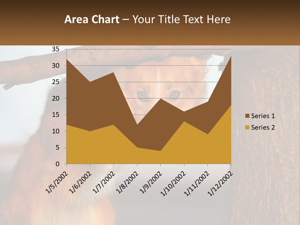 A Brown And White Dog With His Tongue Hanging Out Of A Tree PowerPoint Template