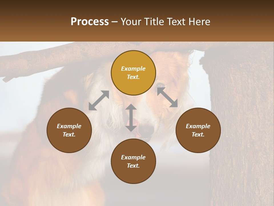 A Brown And White Dog With His Tongue Hanging Out Of A Tree PowerPoint Template