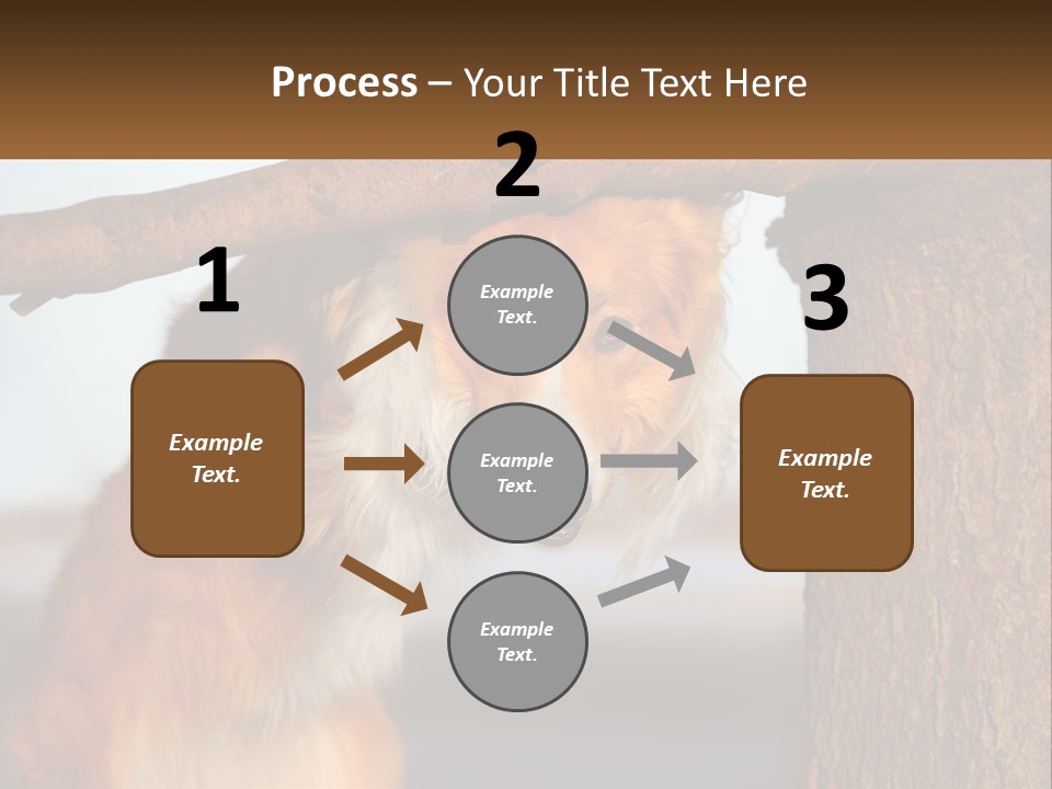 A Brown And White Dog With His Tongue Hanging Out Of A Tree PowerPoint Template