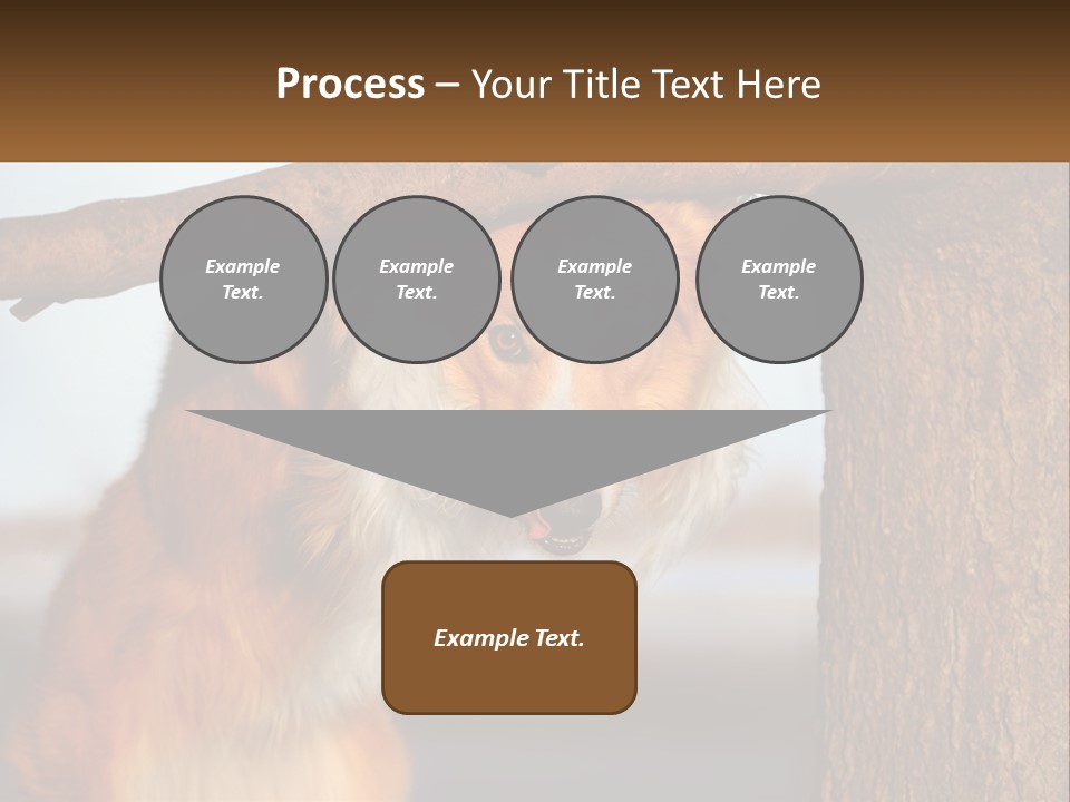 A Brown And White Dog With His Tongue Hanging Out Of A Tree PowerPoint Template