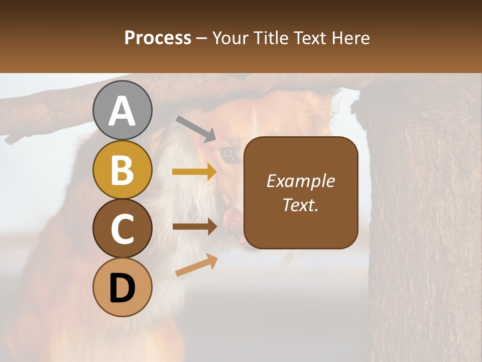A Brown And White Dog With His Tongue Hanging Out Of A Tree PowerPoint Template