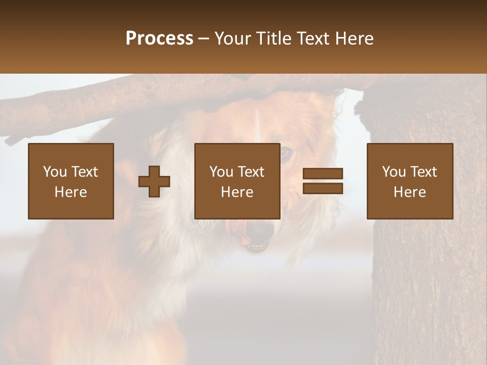 A Brown And White Dog With His Tongue Hanging Out Of A Tree PowerPoint Template