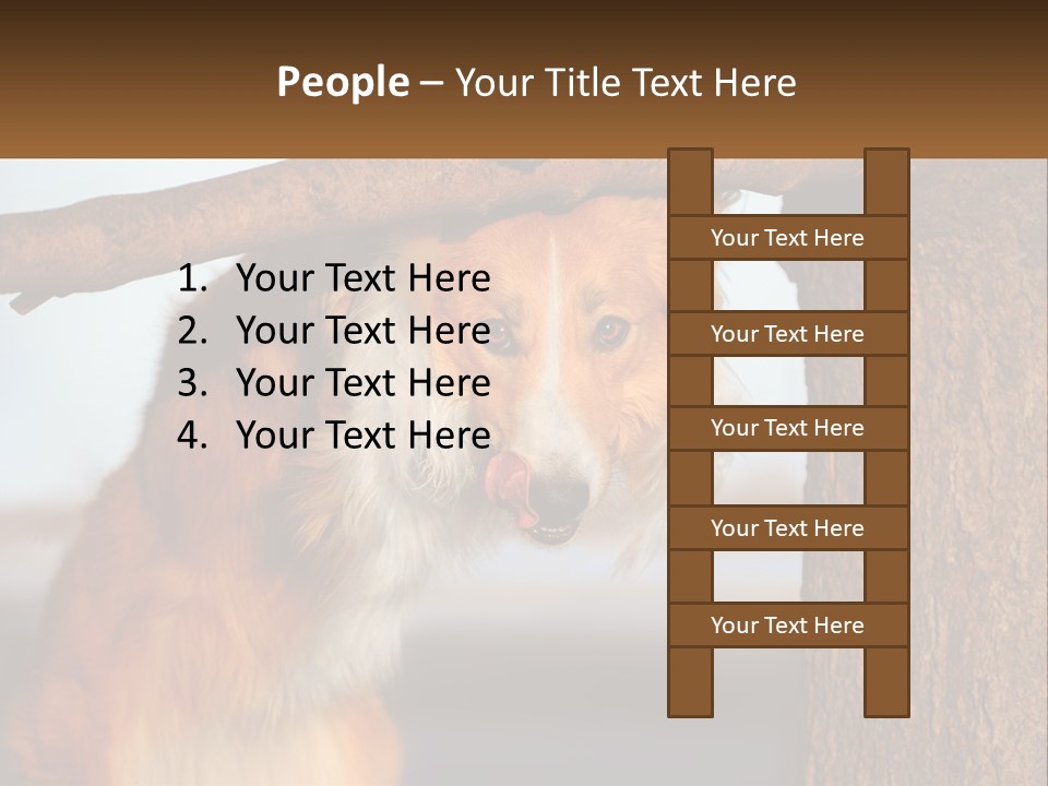 A Brown And White Dog With His Tongue Hanging Out Of A Tree PowerPoint Template