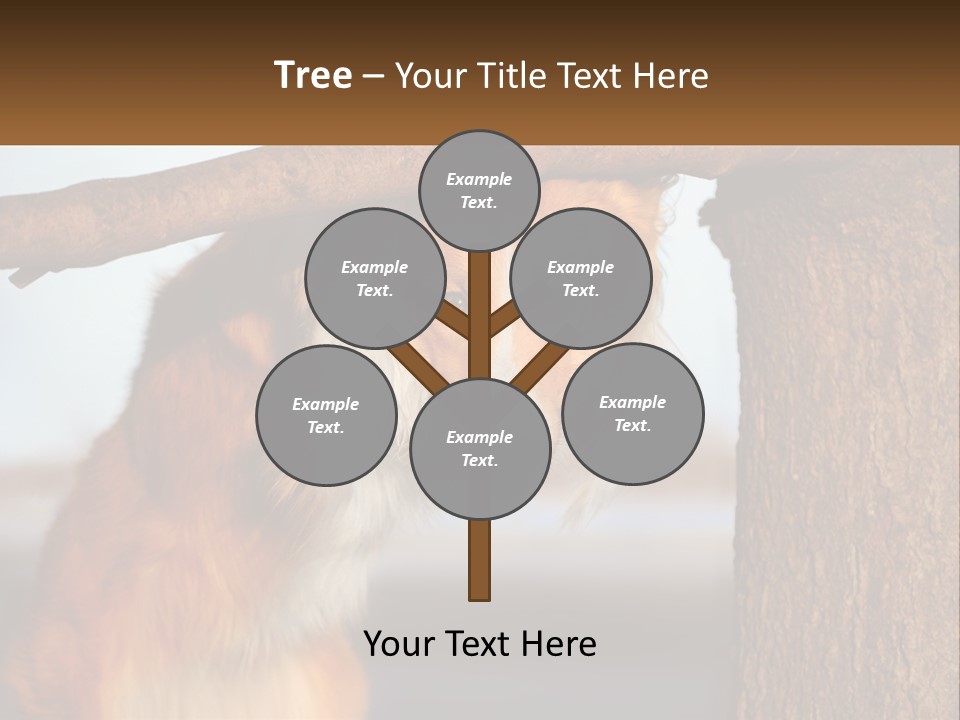 A Brown And White Dog With His Tongue Hanging Out Of A Tree PowerPoint Template