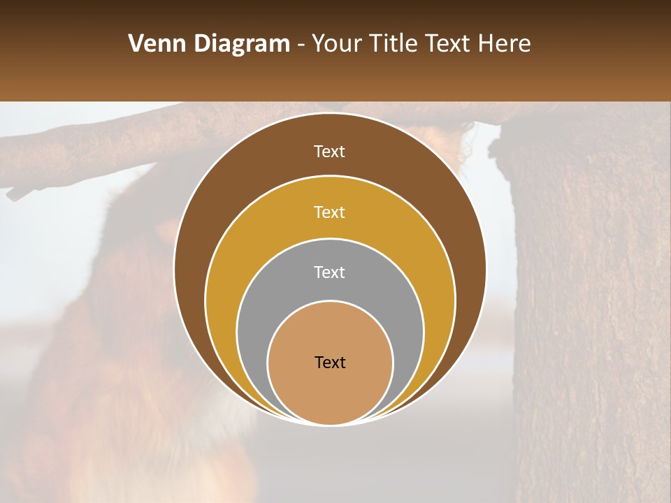 A Brown And White Dog With His Tongue Hanging Out Of A Tree PowerPoint Template